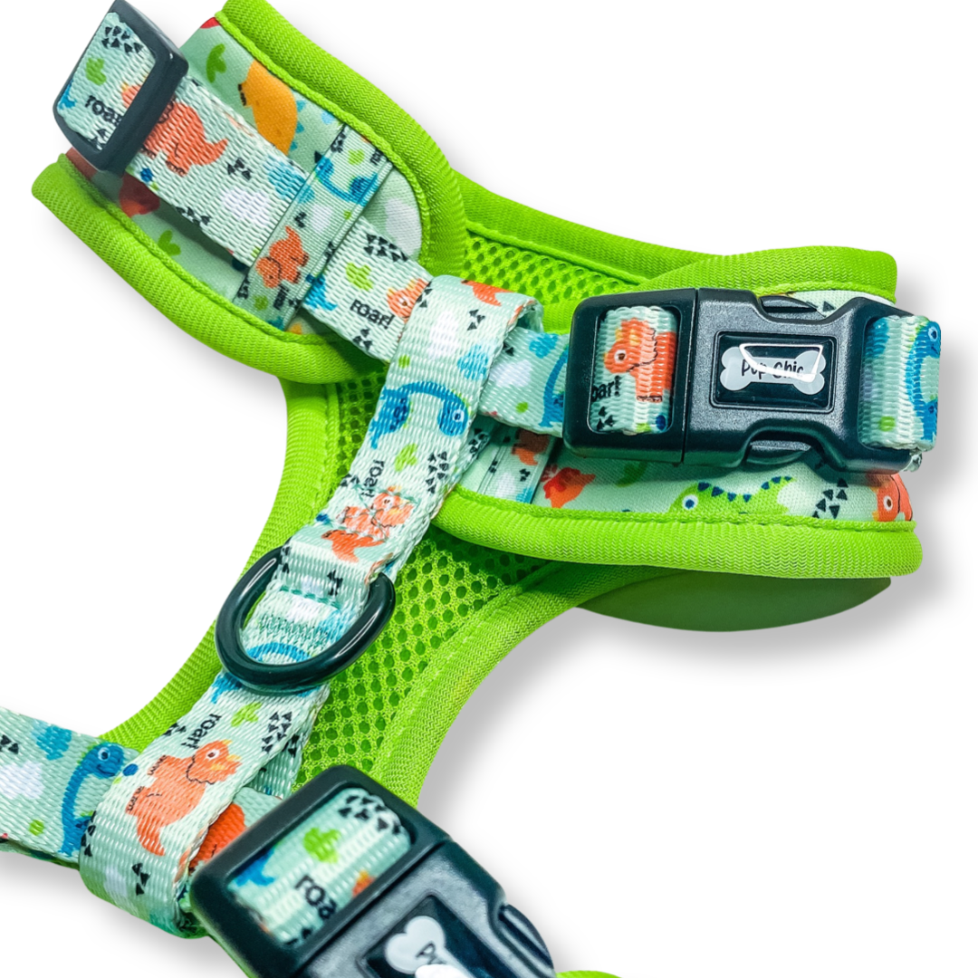 Pup Chic - Prehistoric Pup Range- Harnesses, Leads, Etc