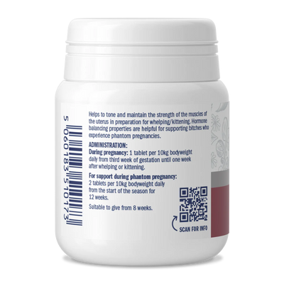Dorwest Raspberry Leaf Tablets for Dogs & Cats – Hormonal Balance & Whelping Support