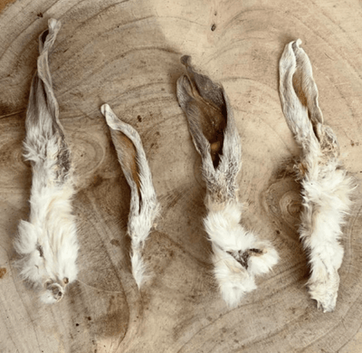 Four natural hairy rabbit ears dog treats laid out on a wooden surface, showcasing texture and size variation of this 100% rabbit chew