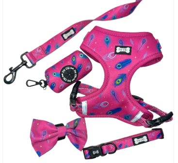 Pup Chic - Peacock Power Range - Harnesses, Leads, Etc