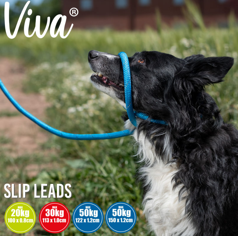 Viva Rope Slip Lead 150cm x 0.8cm