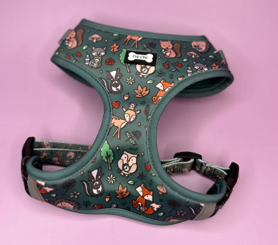 Pup Chic - Autumn Wonderland - Harnesses, Leads, Collars Etc