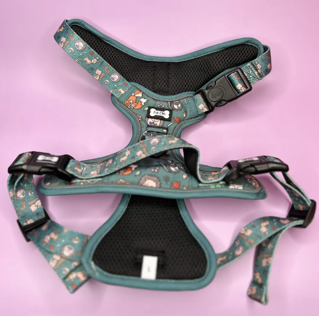 Pup Chic - Autumn Wonderland - Harnesses, Leads, Collars Etc