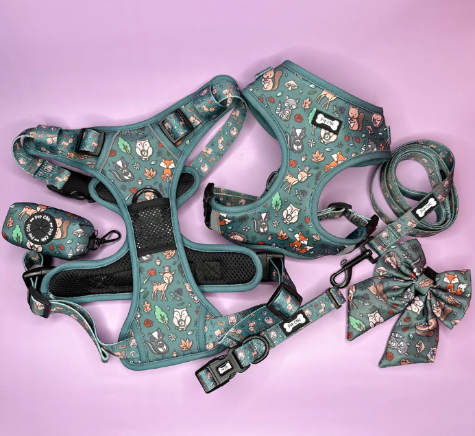 Pup Chic - Autumn Wonderland - Harnesses, Leads, Collars Etc