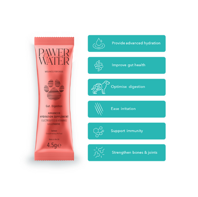 Pawer Water Gut Advanced Supplement for Dogs | 5 Gut Health Sticks.