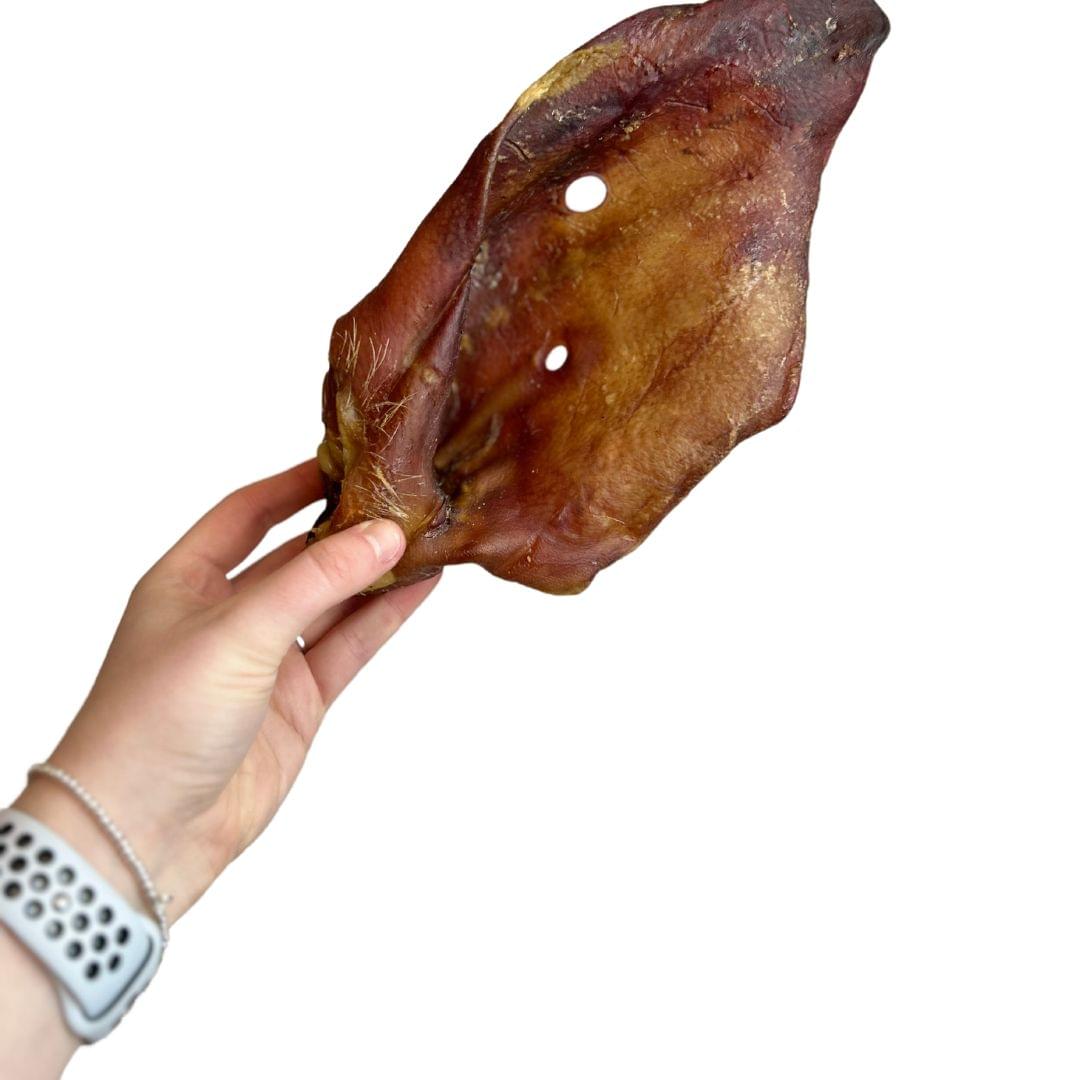 XL Pig Ears for Dogs (Sow Ears) – 100% Natural Pork Chew.
