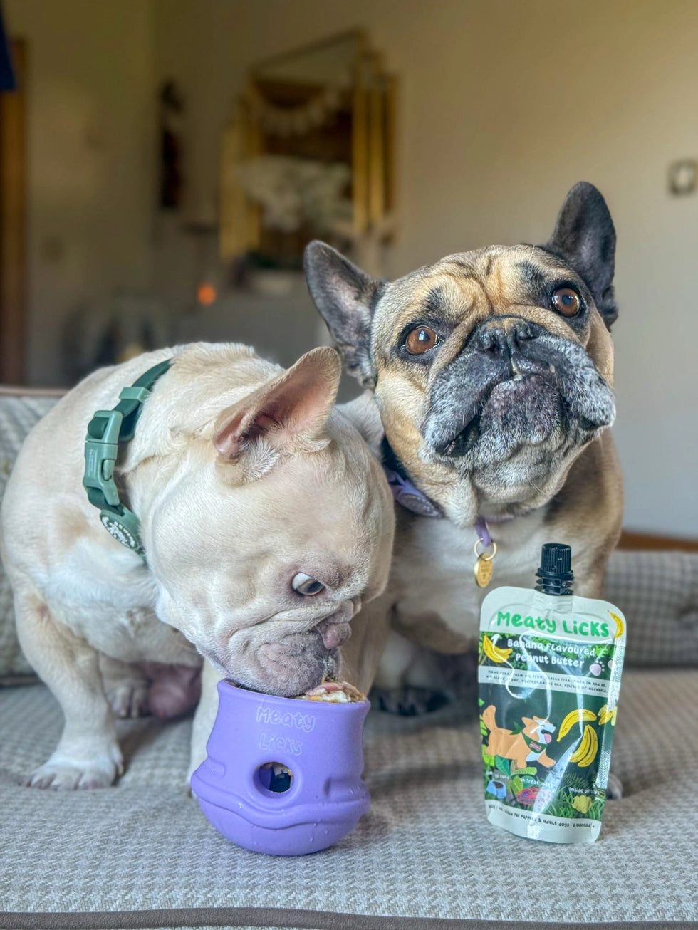 Fillable Dog Toy - Lilac | Meaty Licks by Apex Pet Products | Stuffable Treat Dispensing Toy