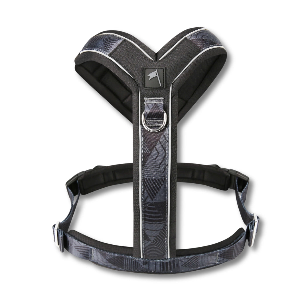 Twiggy Tags Apex® Dog Harness | Lightweight Summer Dog Harness
