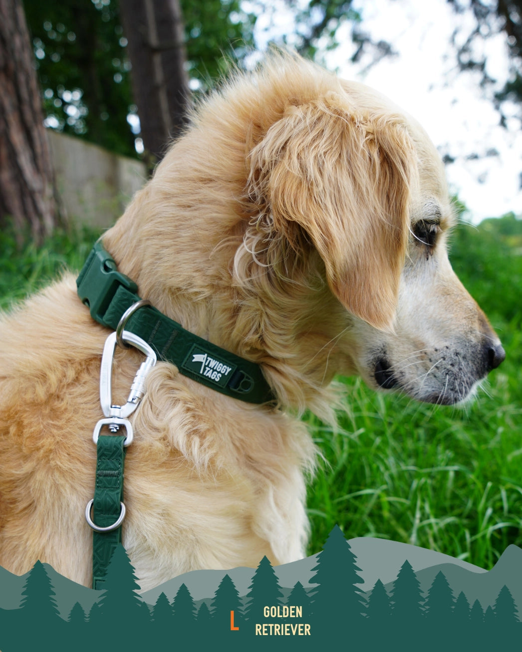 Twiggy Tags Tidal Waterproof Dog Collar β Fern