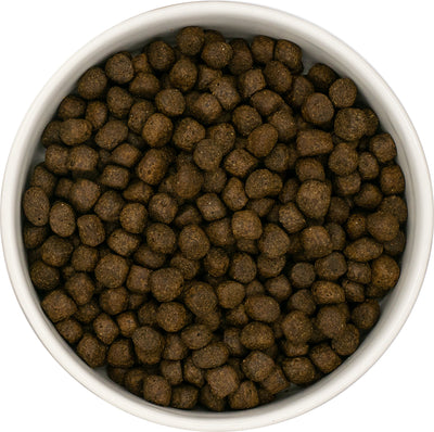 Close-up of Blake’s Luxury Pet Food Grain Free Puppy Salmon, Haddock & White Fish kibble in a white bowl – small 8mm crunchy pieces.