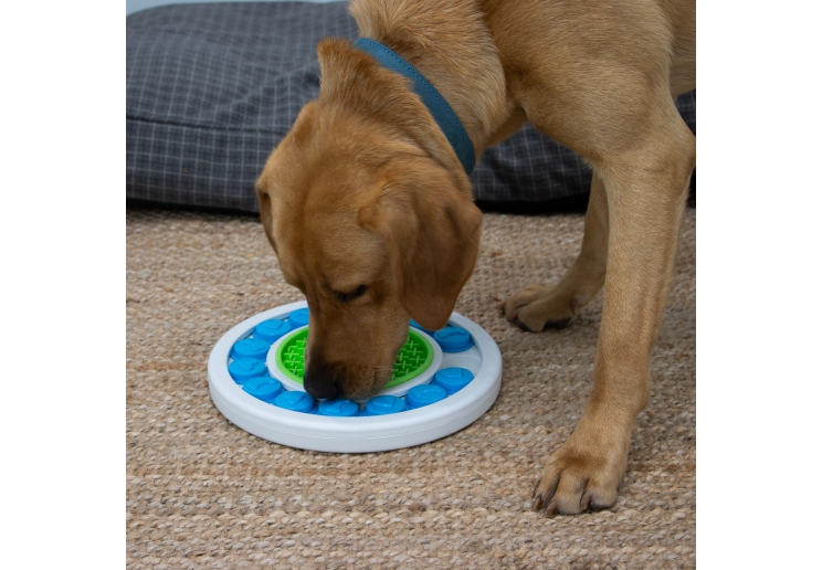 Dog exploring the green lick mat in an Örva Puzzle Ring enrichment toy