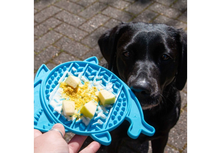Blue Örva Shark Lick Mat topped with food with a black dog in the background