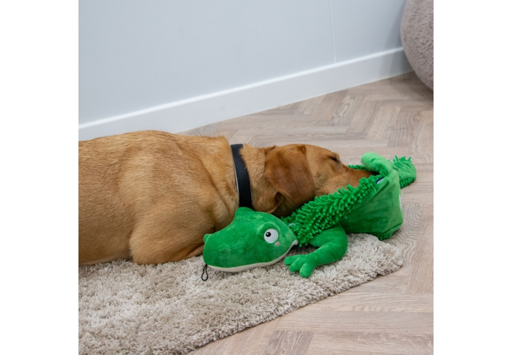 Dog searching for treats in the textured fabric of an Örva Snuffle Croc