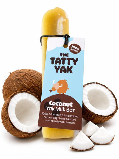 Tatty Yak Coconut Yak Milk Bar Medium natural long-lasting dog chew