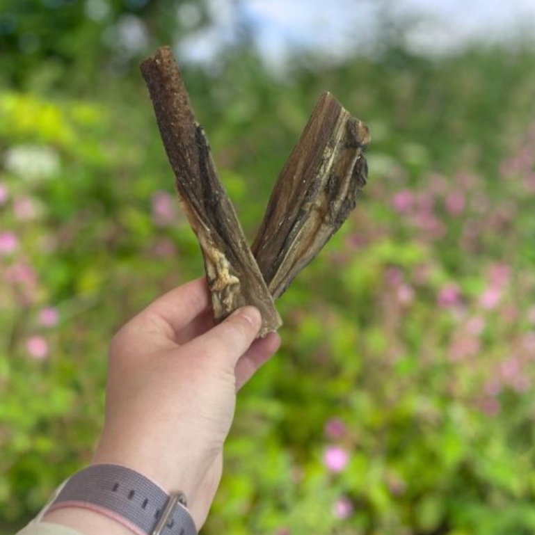 Hand holding two pieces of Paddock Farm beef tripe dog chews in an outdoor garden setting