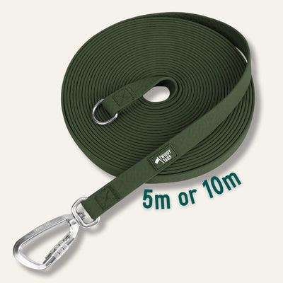 Twiggy Tags Tidal Waterproof Longline in Fern green, coiled with an embossed surface, silver locking carabiner and D-ring.