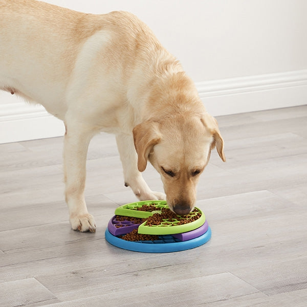 Labrador using Nina Ottosson Lickin' Layers puzzle feeder toy, engaging in slow feeding and mental stimulation during mealtime on a clean indoor floor.