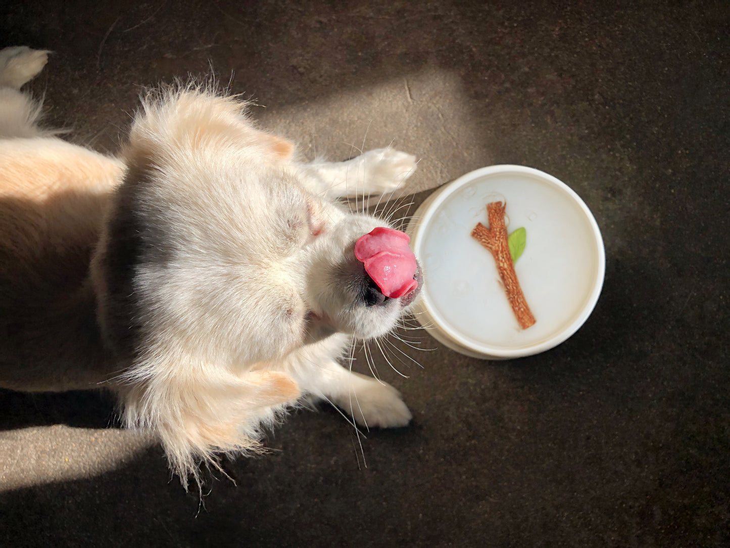 "White ceramic dog bowl with 3D hand-painted stick design by Suck UK"