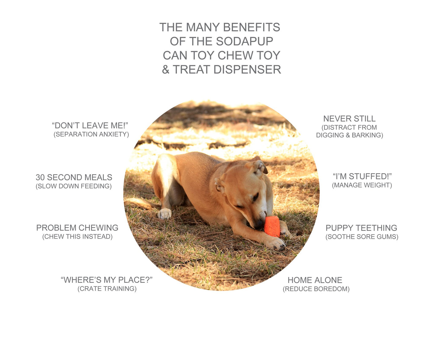 Soda Can Rubber Dog Enrichment Toy – Various Sizes