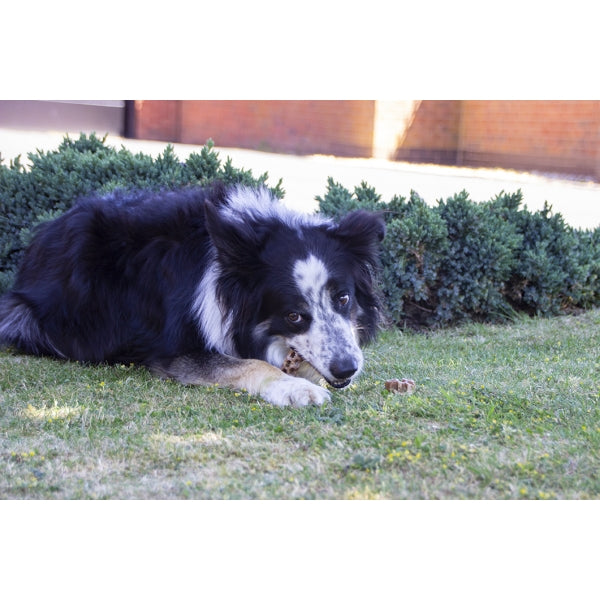 Hex-A-Bone Peanut Butter Dog Treats 54g