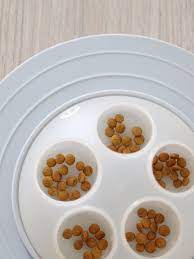 Inooko Cat Igloo Slow Feeder – Interactive Cat & Kitten Toy