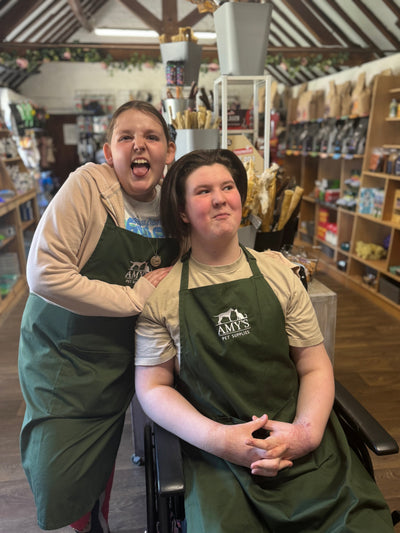 Meet Maizie – The Newest Face of Amy’s Pet Supplies (and the Bravest).