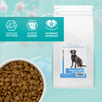 Helping Your Overweight Dog: World Obesity Day.