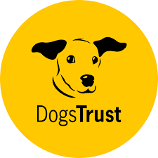 Why Public Liability Insurance Matters for Dog Owners (and a Handy Tip You Might Not Know!)