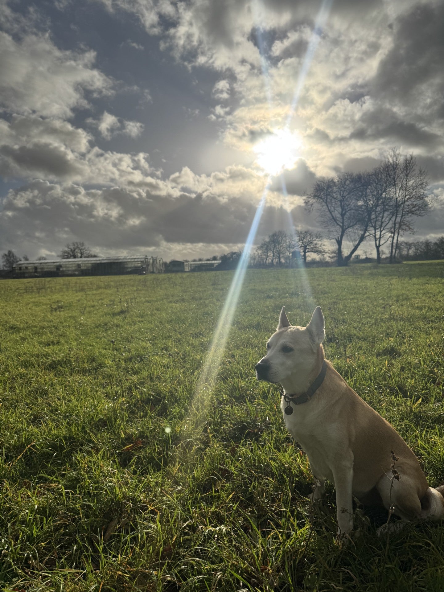 Luna's Last Day