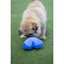 Battersea Rubber Heart Treat Toy For Dogs