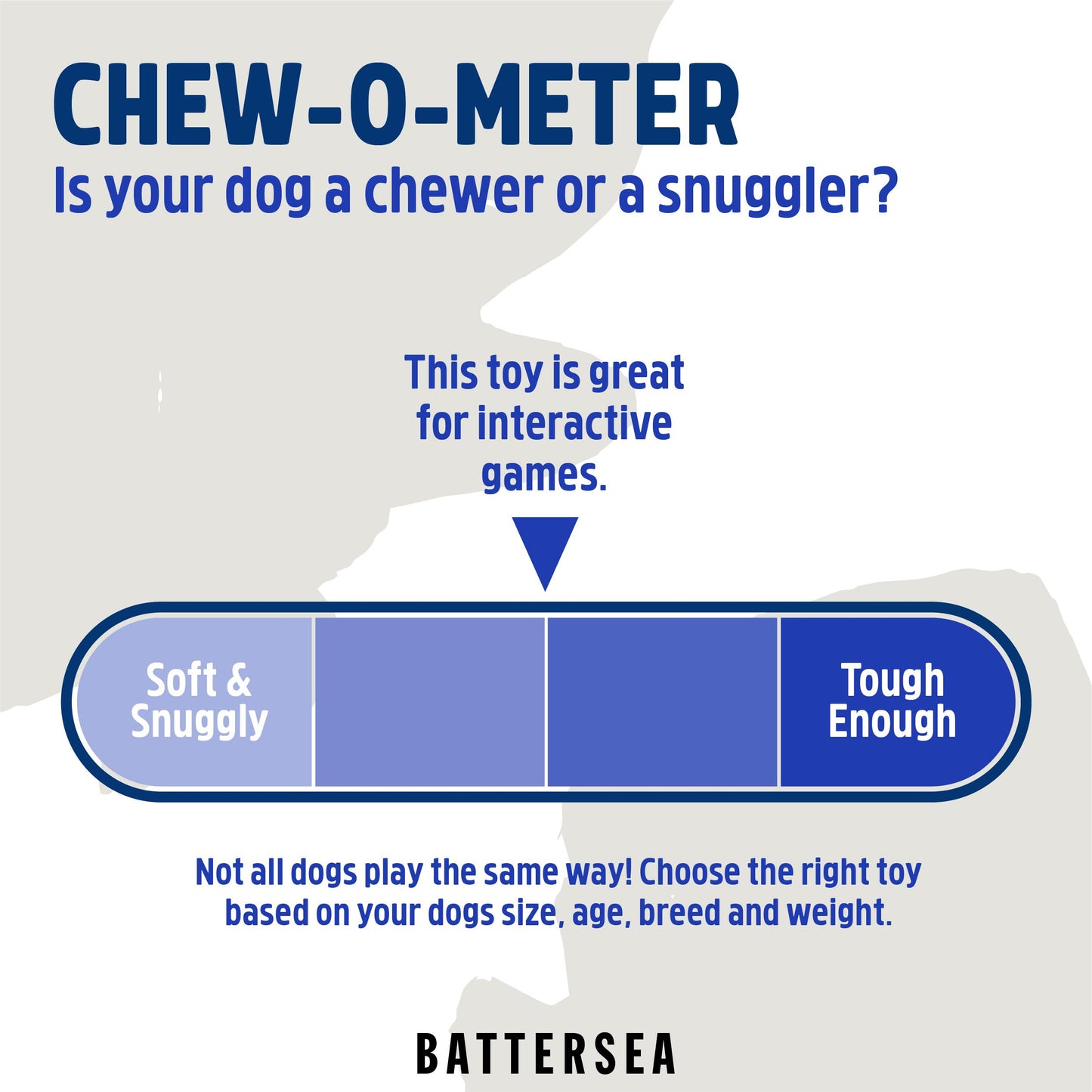Battersea Foam Frisbee Toy For Dogs