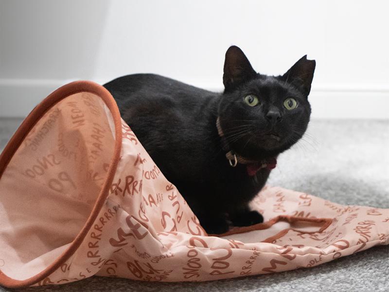 Battersea Peek-A-Boo Crinkle Sack Toy for Cats