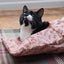 Battersea Peek-A-Boo Crinkle Sack Toy for Cats