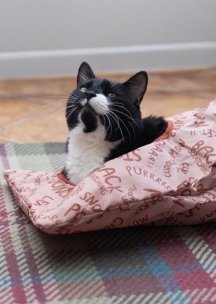 Battersea Peek-A-Boo Crinkle Sack Toy for Cats