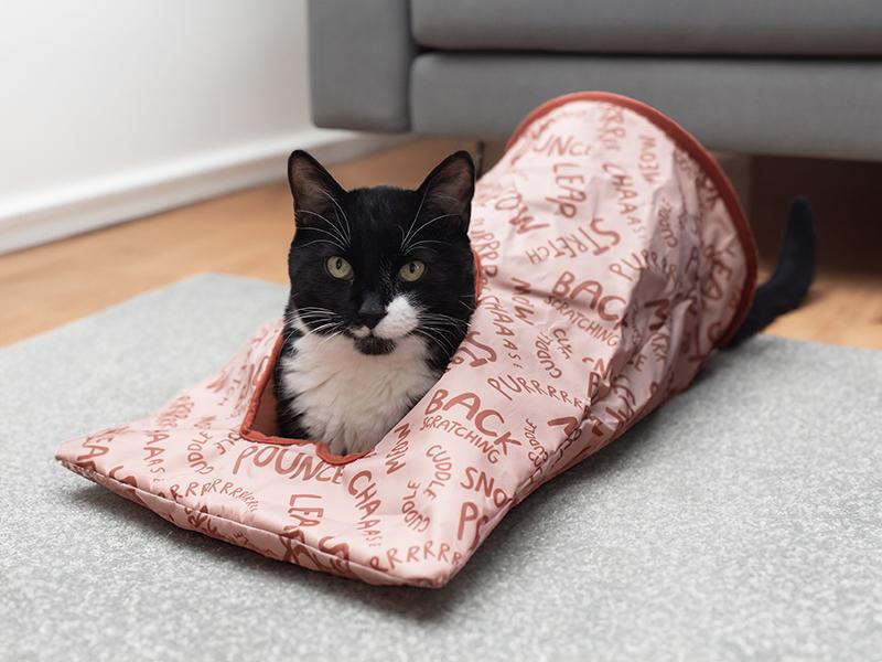 Battersea Peek-A-Boo Crinkle Sack Toy for Cats
