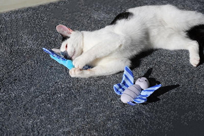 Battersea Butterfly & Dragonfly Duo – Catnip Cat Toys with Crinkle Wings