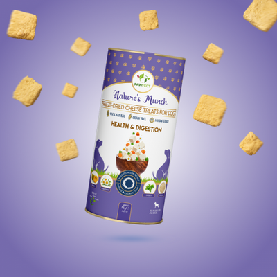 Pawfect Nature's Munch Health & Digestion Dog Treat 75g