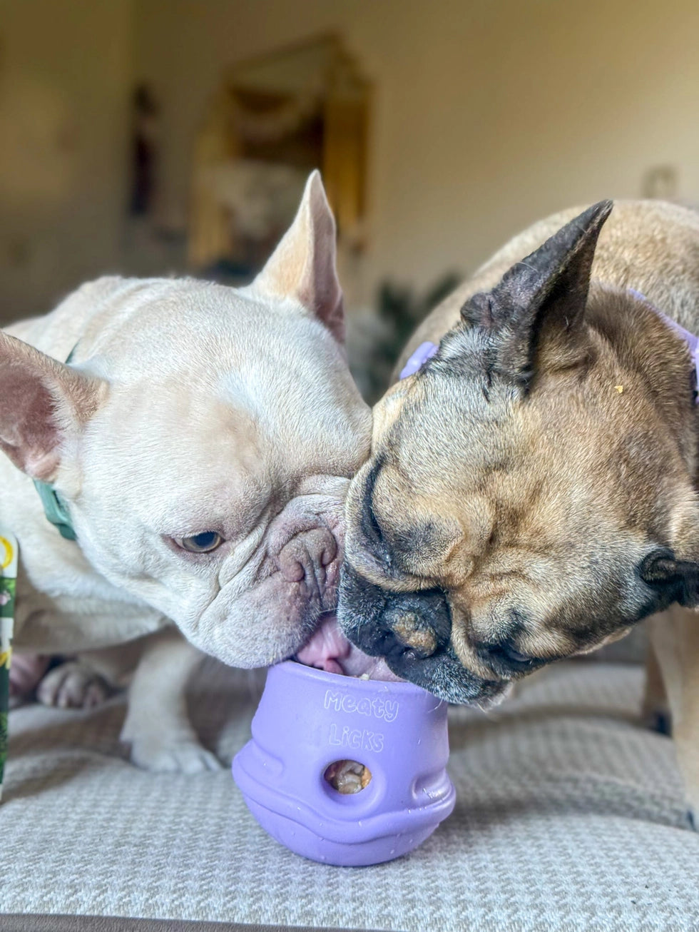 Fillable Dog Toy - Lilac | Meaty Licks by Apex Pet Products | Stuffable Treat Dispensing Toy