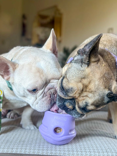 Fillable Dog Toy - Lilac | Meaty Licks by Apex Pet Products | Stuffable Treat Dispensing Toy