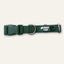 Twiggy Tags Tidal Waterproof Dog Collar – Fern