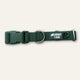 Twiggy Tags Tidal Waterproof Dog Collar – Fern.