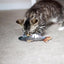 Jolly Moggy 100% Natural Catnip Trout Plush Cat Toy