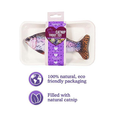 Jolly Moggy 100% Natural Catnip Trout Plush Cat Toy