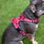 Rosewood Reflective Dog Harness