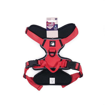 Rosewood Reflective Dog Harness.