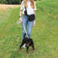 3-in-1 Dog Walking Bag
