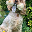 Dog treat Anco Naturals Rabbit Hide Rolls – 100% natural hair-on chew, air-dried rabbit for healthy digestion and dental support.