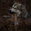Giant buffalo biltong dog treat natural chew for enrichment