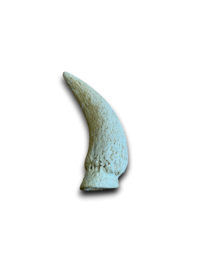 Anco Naturals Cow Horn Marrow – Fat-Free Crunchy Dental Chew