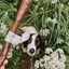 Anco - Giant Camel Stick - Natural Dog Chew